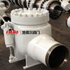 Piggable Check Valve