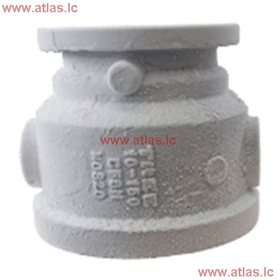 Cryogenic Check Valve