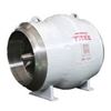 Axial flow check valve