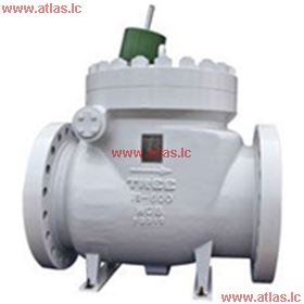 Piggable Check Valve