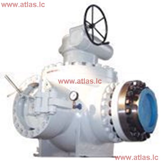 Different Diameter Pig Valve