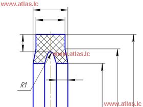 Picture for category Substitution