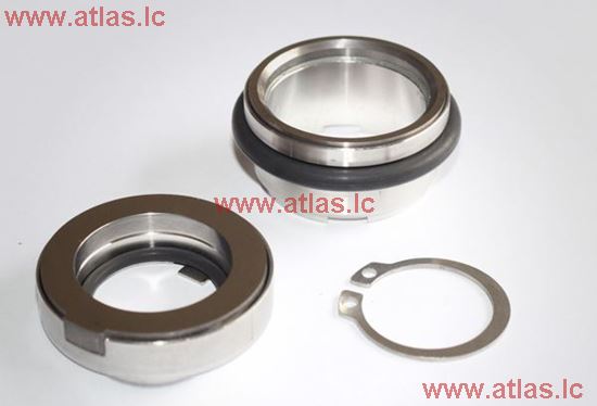 FKL-35 Mechanical seal