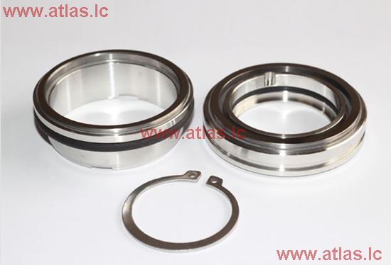 FQL-60 Mechanical seal