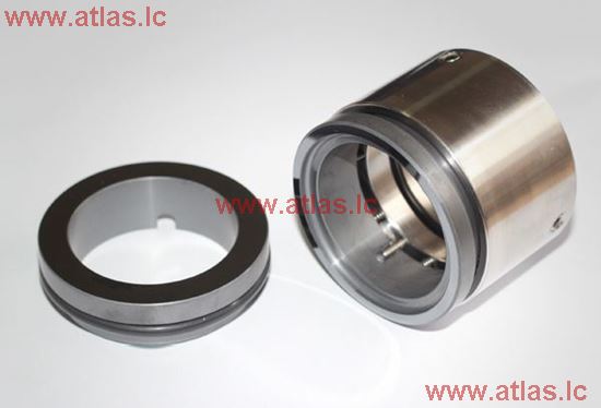 Chesterton Type 891 O-ring Mechanical Seal