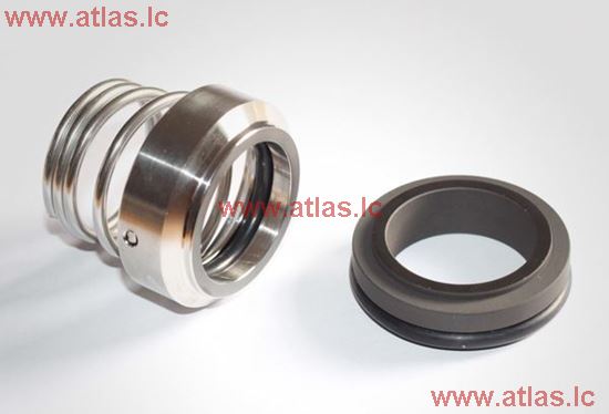 AESSEAL Type SAI O-ring Mechanical Seal